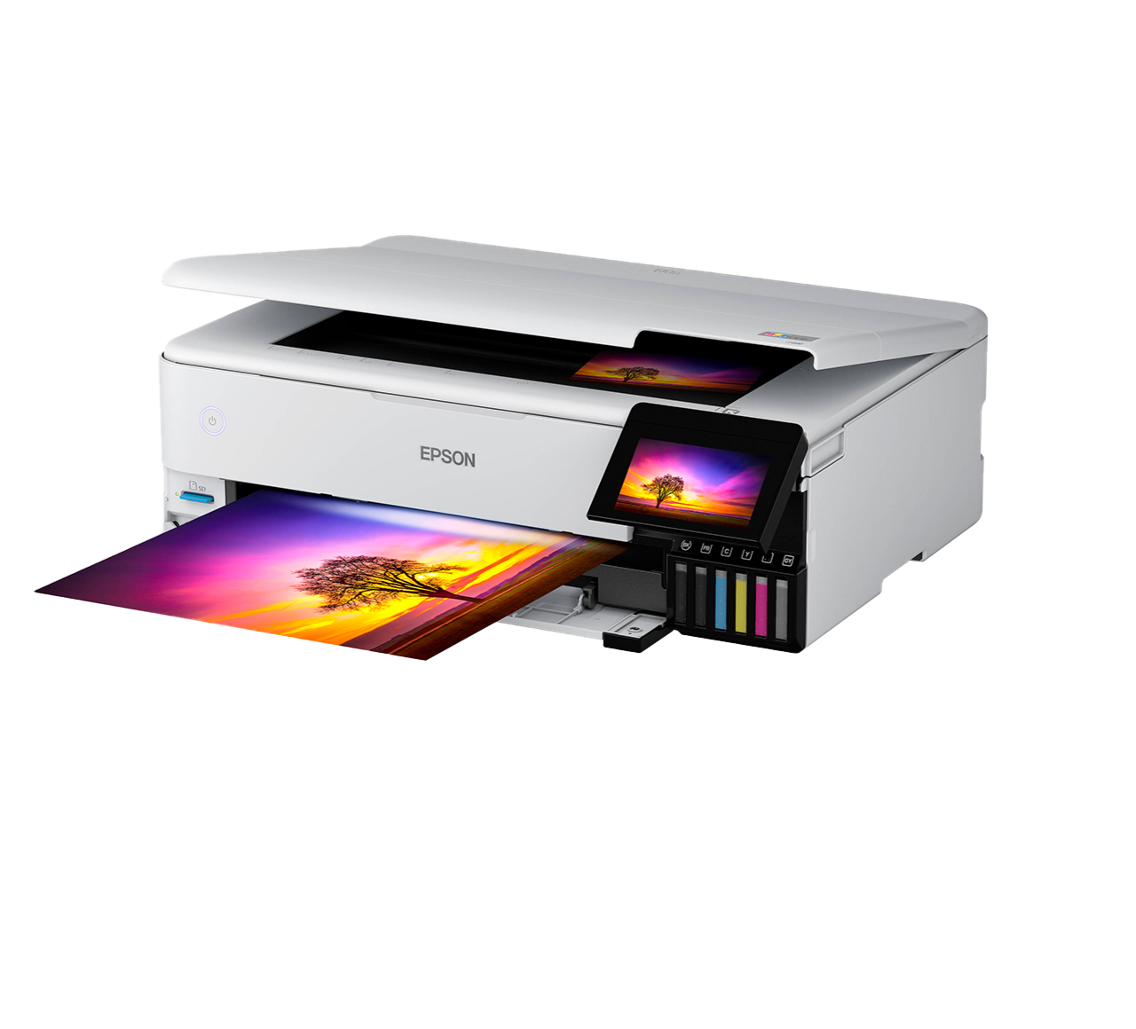 Epson 8550 printer Epson 8550 printer